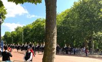 Household Cavalry back from Westminster Palace