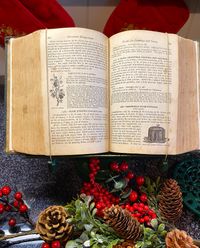 Mrs Beeton&#039;s Book of Household Management 1880- How to make a Christmas Pudding